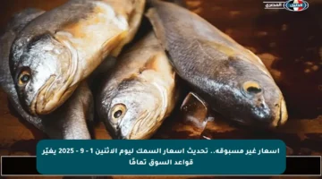 أسعار غير مسبوقة.. تحديث أسعار السمك ليوم الإثنين 1 – 9 – 2025 يغيّر قواعد السوق تمامًا